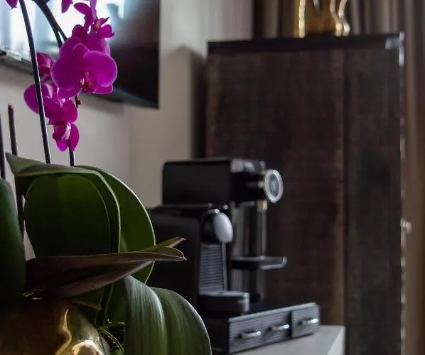 Alojamento de Acomodação e Pequeno-almoço Bubbles&bites