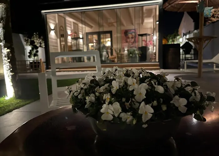 Bubbles&bites 4* Oostvoorne